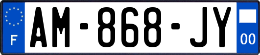 AM-868-JY