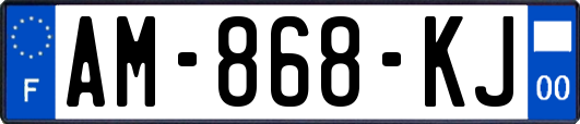AM-868-KJ