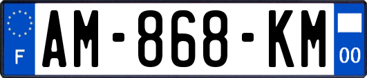 AM-868-KM