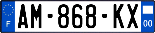 AM-868-KX