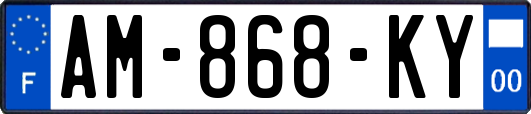 AM-868-KY