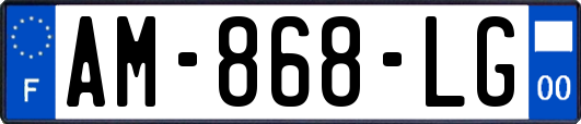 AM-868-LG