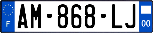 AM-868-LJ