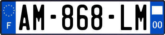 AM-868-LM