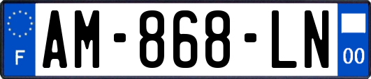 AM-868-LN
