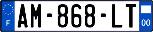 AM-868-LT