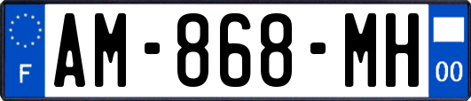 AM-868-MH