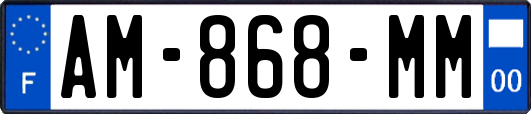 AM-868-MM