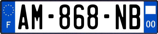 AM-868-NB