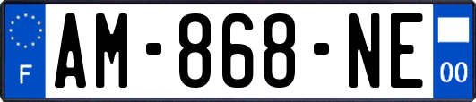 AM-868-NE