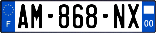 AM-868-NX