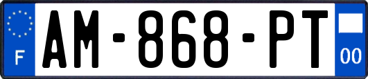 AM-868-PT