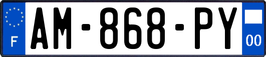 AM-868-PY