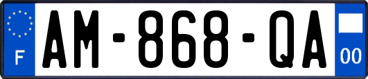 AM-868-QA