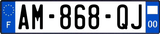 AM-868-QJ