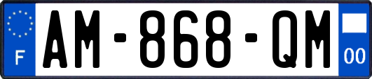 AM-868-QM