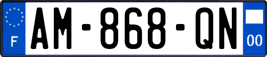 AM-868-QN