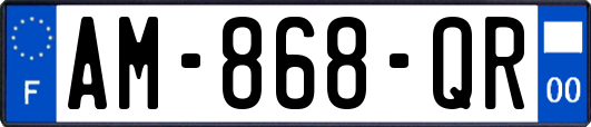 AM-868-QR