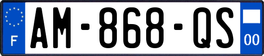 AM-868-QS