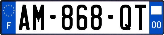 AM-868-QT