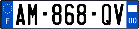 AM-868-QV