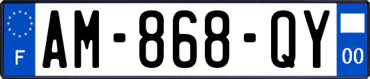AM-868-QY