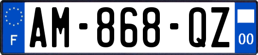AM-868-QZ