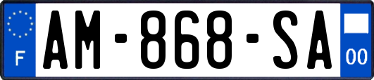 AM-868-SA