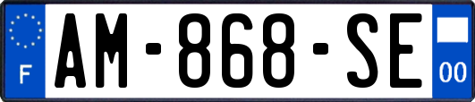 AM-868-SE
