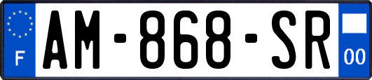 AM-868-SR