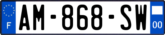 AM-868-SW