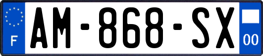 AM-868-SX