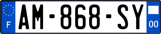 AM-868-SY