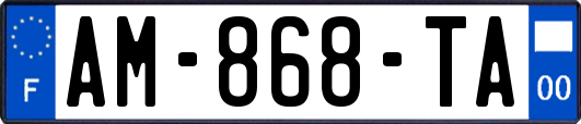 AM-868-TA