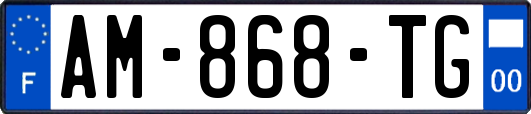 AM-868-TG