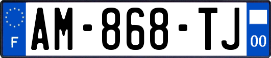 AM-868-TJ