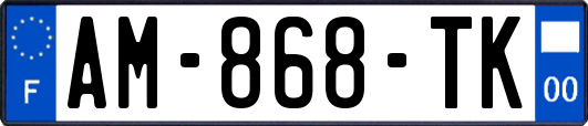 AM-868-TK
