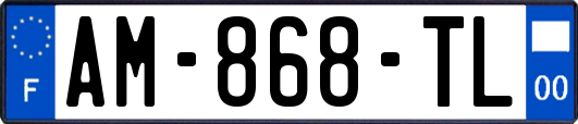 AM-868-TL