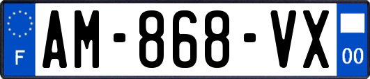 AM-868-VX