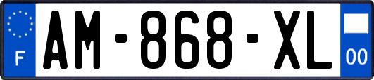 AM-868-XL