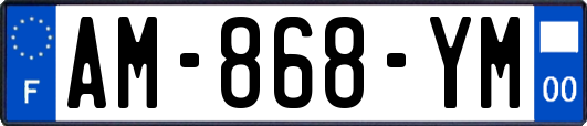 AM-868-YM