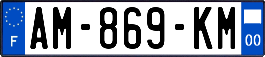 AM-869-KM