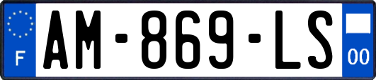 AM-869-LS