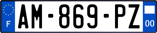 AM-869-PZ