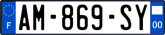 AM-869-SY