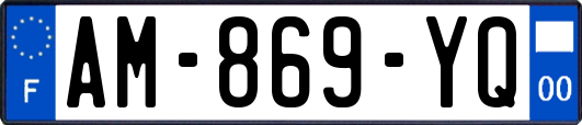 AM-869-YQ