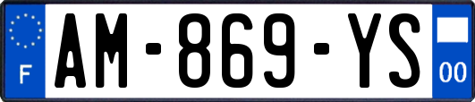 AM-869-YS