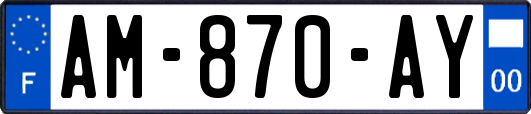 AM-870-AY