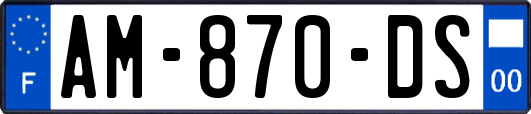 AM-870-DS