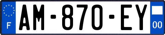AM-870-EY